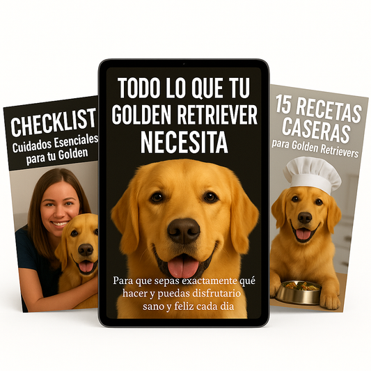 Todo lo que tu Golden Retriever Necesita